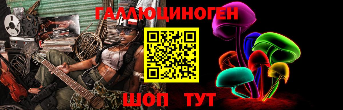 Псилоцибиновые грибы Psilocybe Архангельск